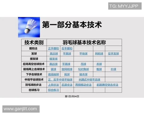 羽毛球战术解析与上海羽毛球队运营体系的深度剖析与实践探索
